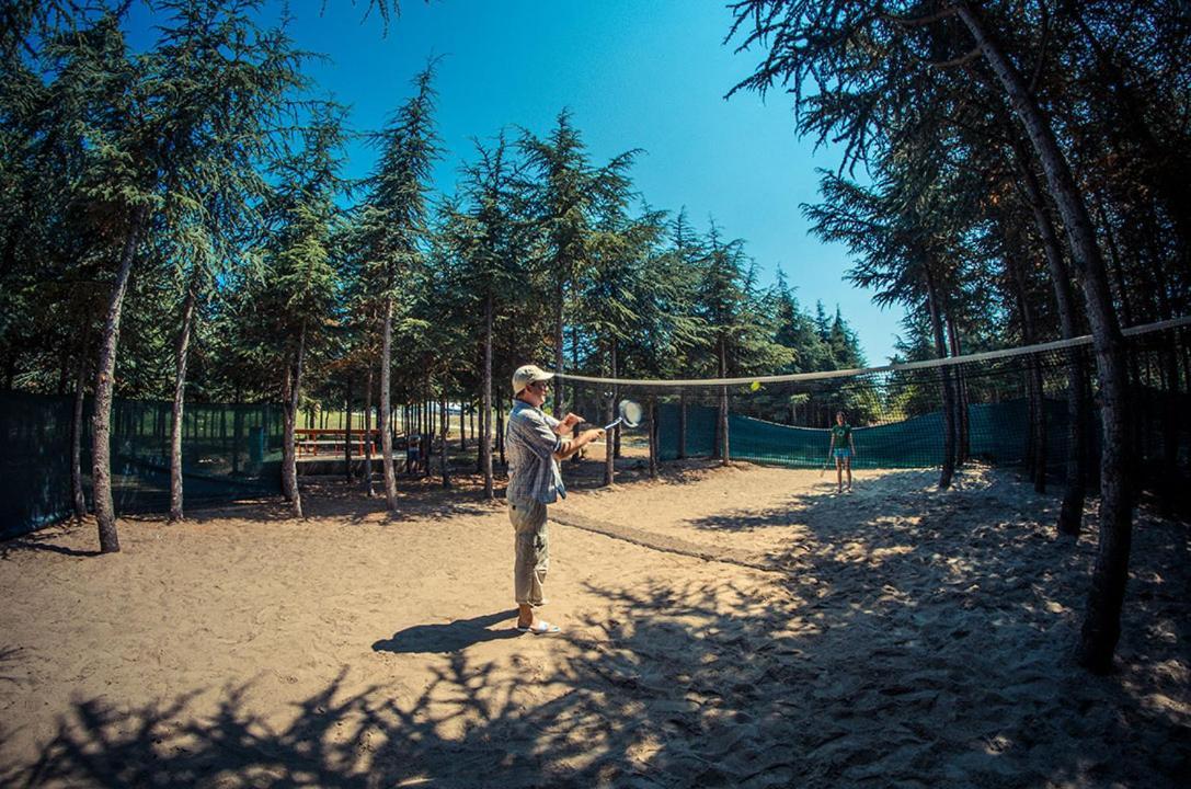 Paradise View * Слънчев бряг